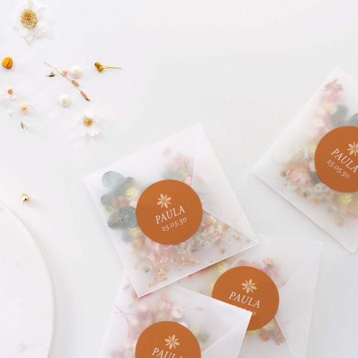 Fotostreifen-Terrakotta