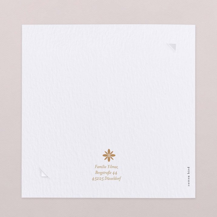 Fotostreifen - ocker