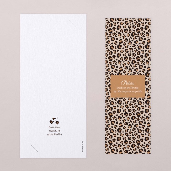 Leopardo