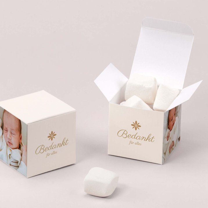 Fotostreifen - ocker