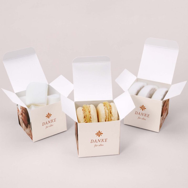 Fotostreifen-Terrakotta