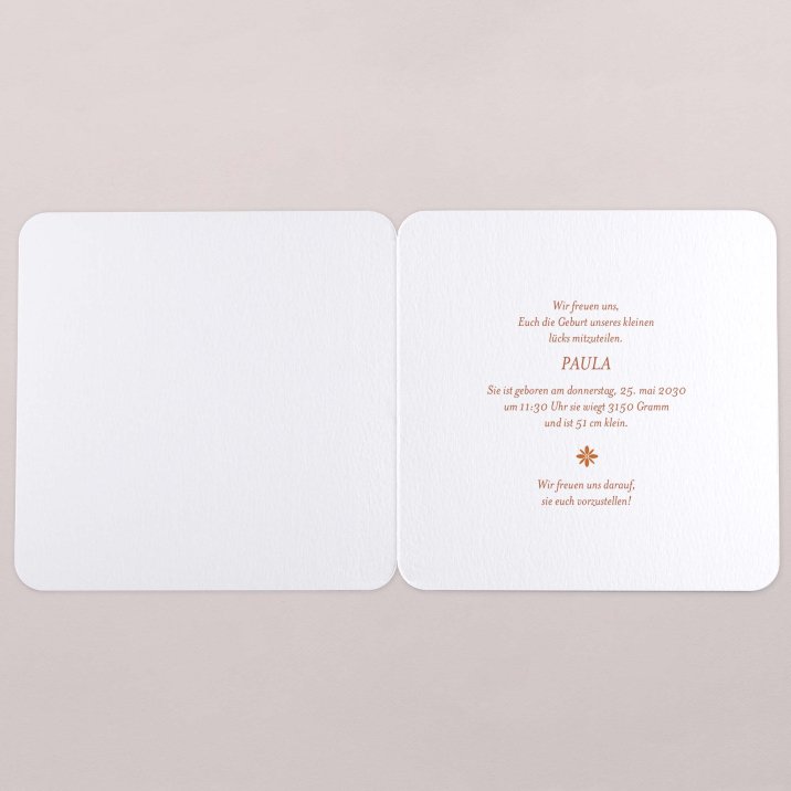 Fotostreifen-Terrakotta