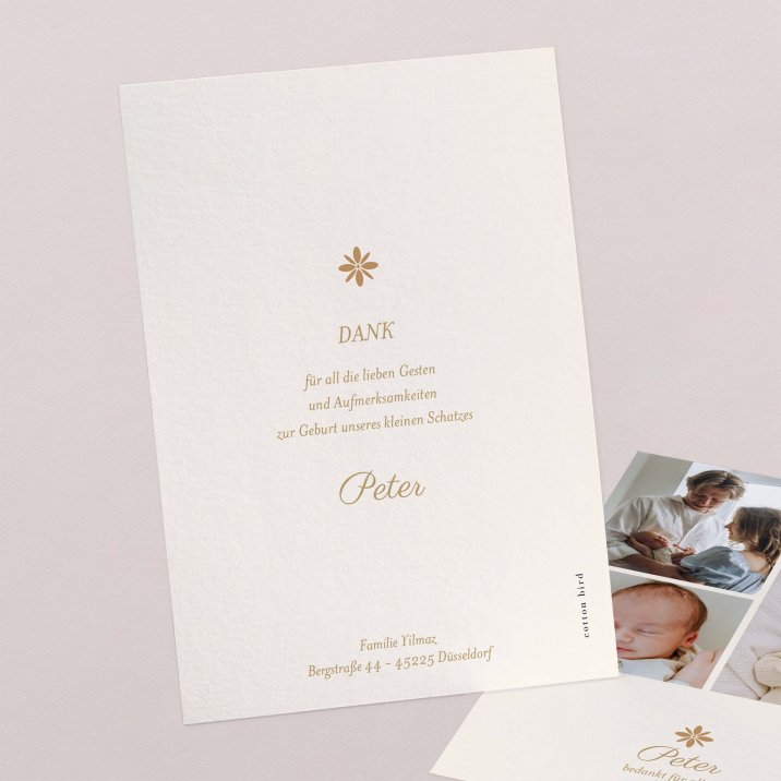 Fotostreifen - ocker