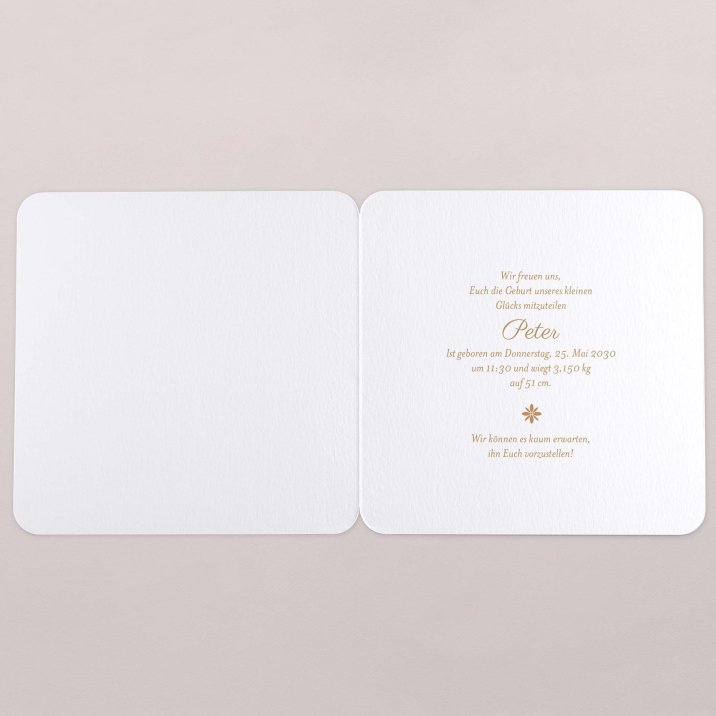 Fotostreifen - ocker