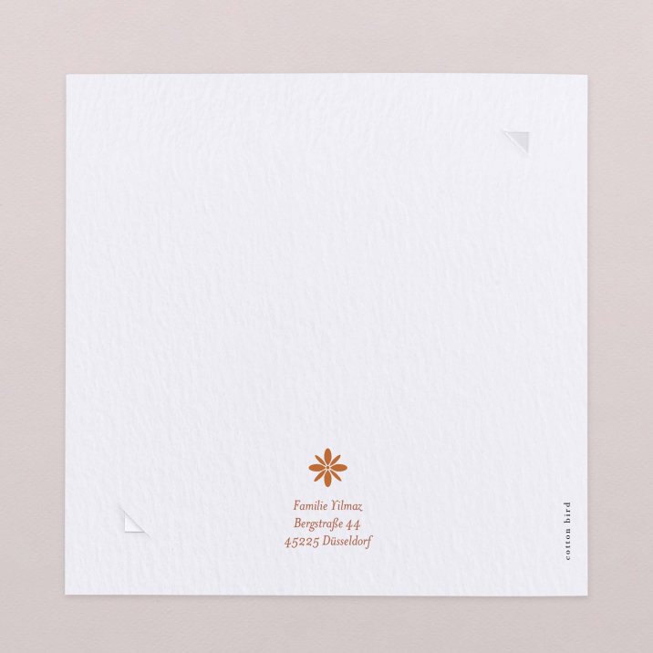 Fotostreifen-Terrakotta