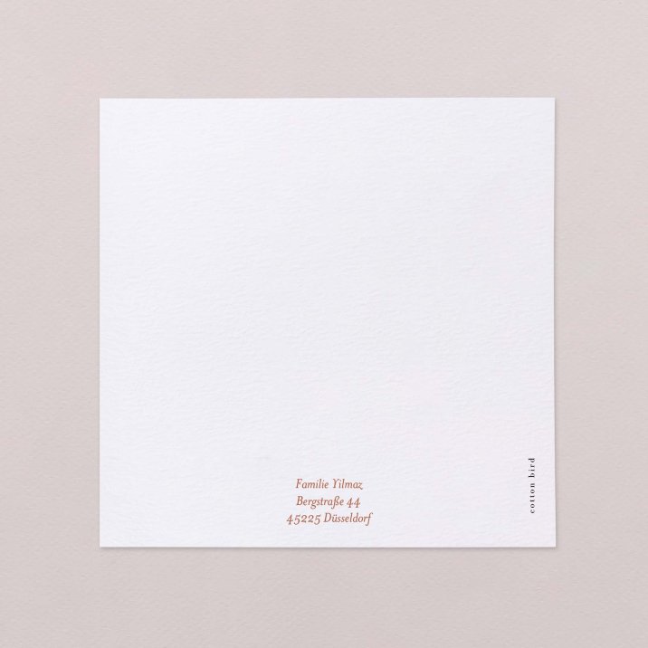 Fotostreifen-Terrakotta