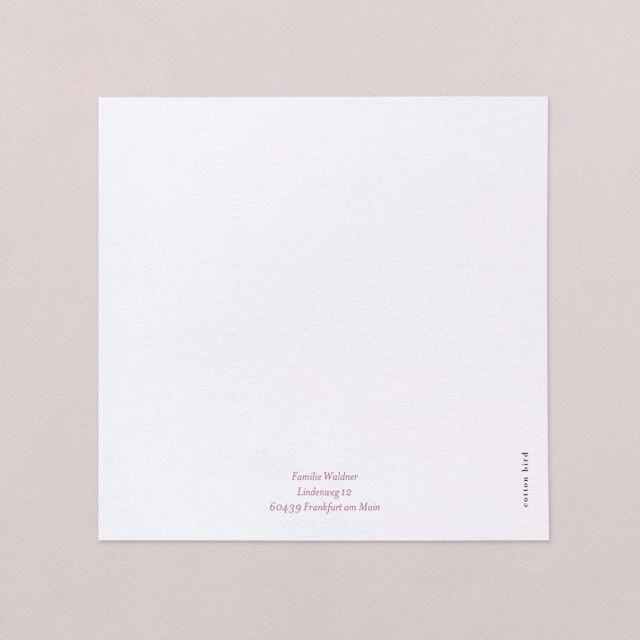 Claudine - rosa