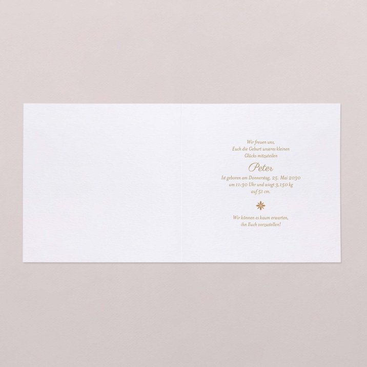 Fotostreifen - ocker